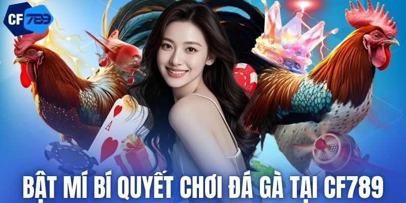 Bật mí bí quyết chơi đá gà tại CF789