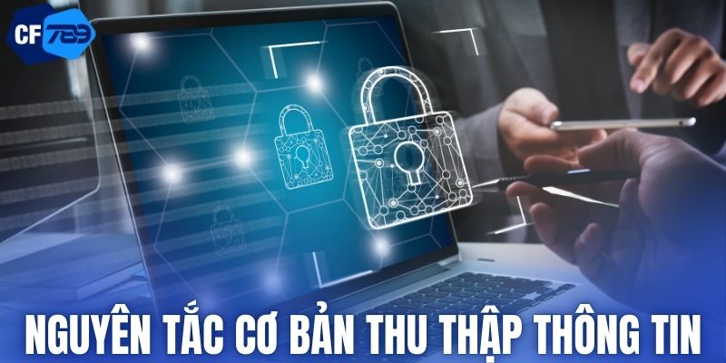 Các nguyên tắc cơ bản về việc thu thập thông tin