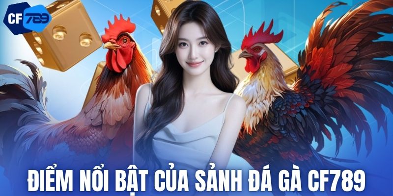 Điểm nổi bật của sảnh đá gà CF789
