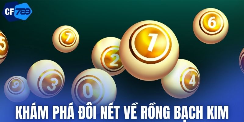 Khám phá đôi nét về rồng bạch kim